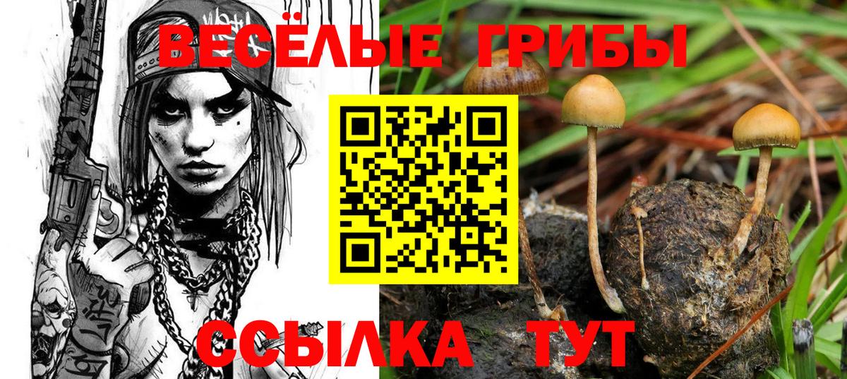 Галлюциногенные грибы прущие грибы  Вход с VPN  Кинель  Псилоцибиновые грибы Cubensis 